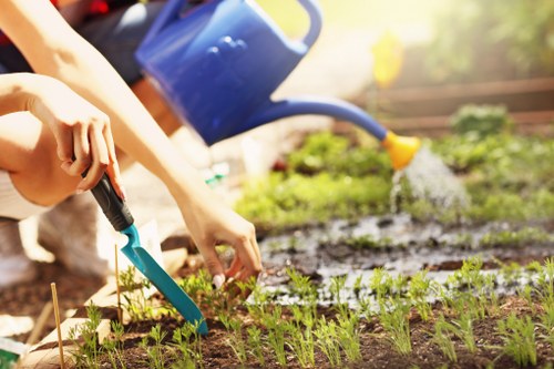 Decking services in Brondesbury for stylish outdoor living