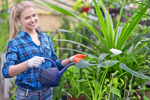 Gardeners Brondesbury maintaining a local garden in spring