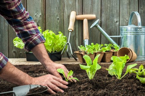 Professional garden maintenance in Brondesbury
