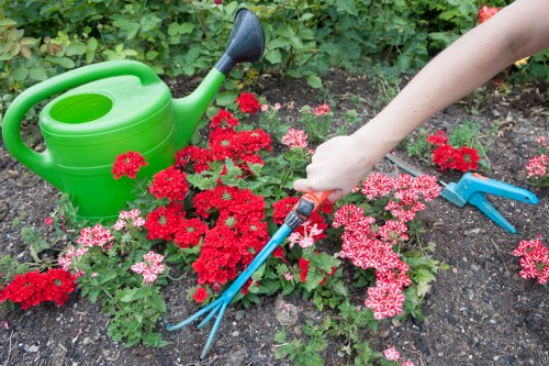 Gardeners Brondesbury pricing for a small courtyard garden