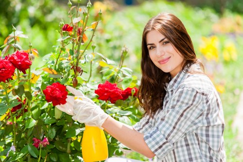 Professional lawn mowing service in Brondesbury