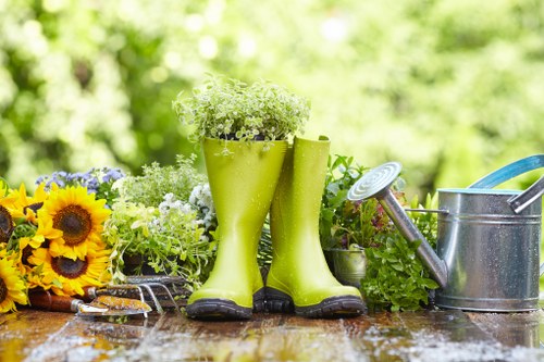 Professional garden upkeep in Brondesbury with tidy borders and paving