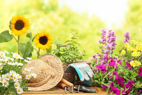 Lawn care and pruning during garden maintenance in Brondesbury