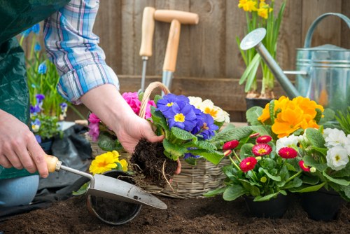 Professional lawn maintenance tools for Brondesbury lawns