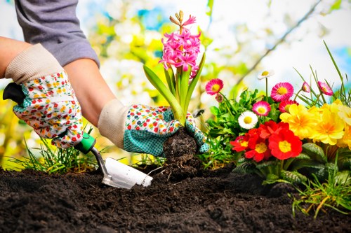 Gardeners Brondesbury supporting a balanced and attractive garden