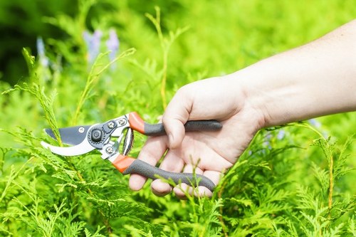 Supplier compliance and ethical sourcing for Brondesbury gardeners