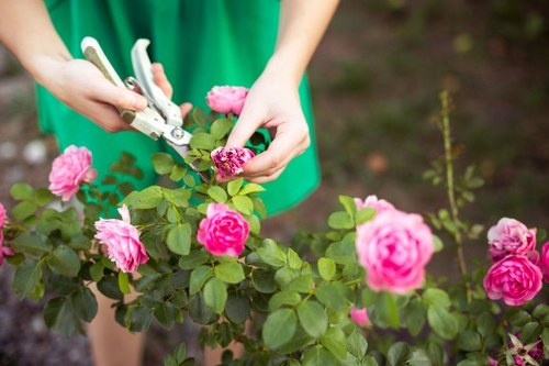 Keyboard navigation support for local gardening pages