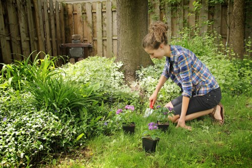 Accessibility-focused garden website content for Brondesbury users