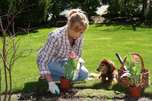 PPE and safe gardening practices during outdoor maintenance