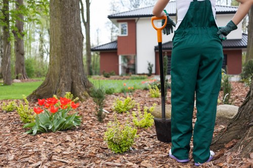 Professional garden clearance process in Brondesbury