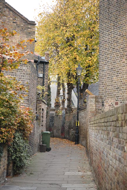 Common problems gardeners face in narrow Brondesbury yards